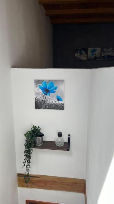 Ca La Trini Vivienda Vacacional Nava Esterno foto