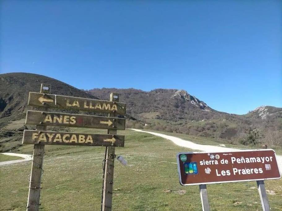 Ca La Trini Vivienda Vacacional Nava Esterno foto
